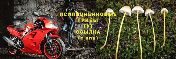 прущий лед Алексин