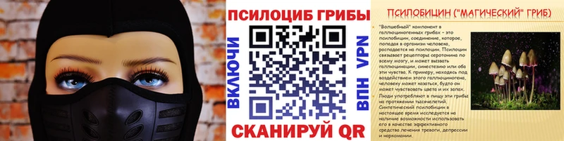 Галлюциногенные грибы Cubensis Купить закладки Выкса